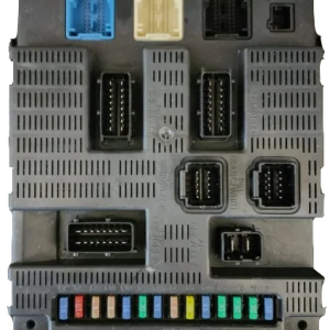 CLONAGE BSI PSA