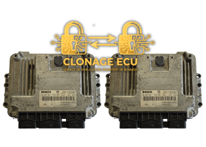 CLONAGE EDC15C13
